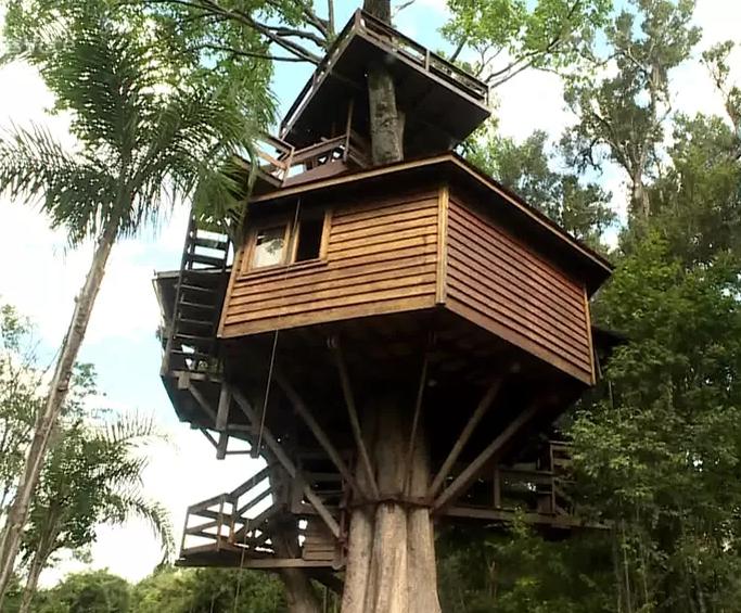 Casa na árvore de Galvão Bueno (Foto: Reprodução/TV Globo)