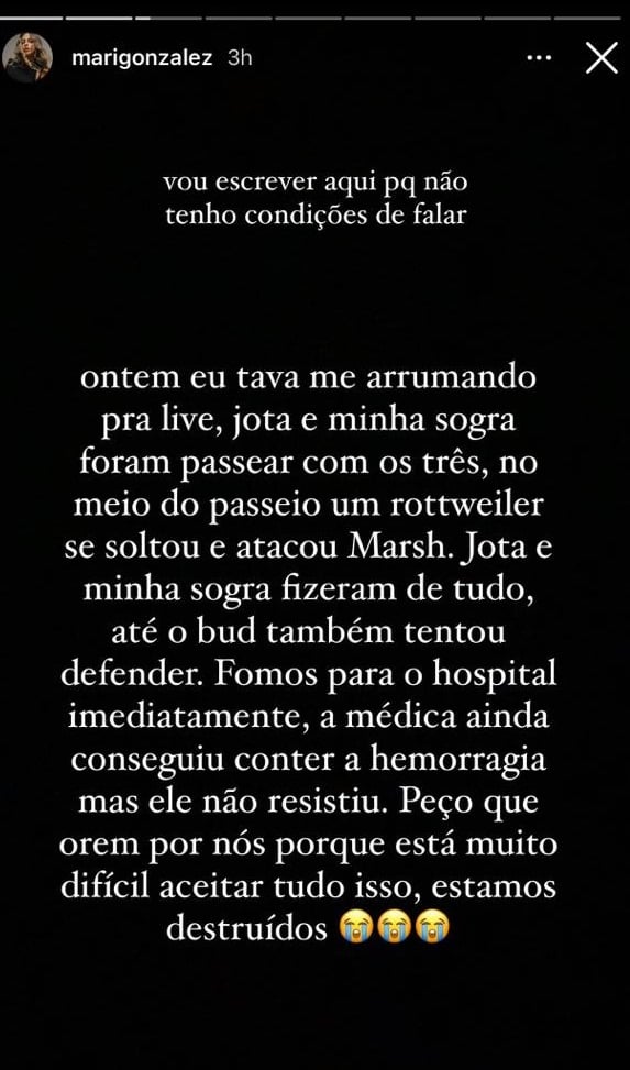 Mari Gonzalez faz desabafo no Instagram e conta do ocorrido (Foto: Reprodução/Instagram)