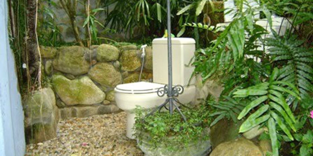 Vaso sanitário ao ar livre na mansão de Clodovil (Foto: Reprodução)