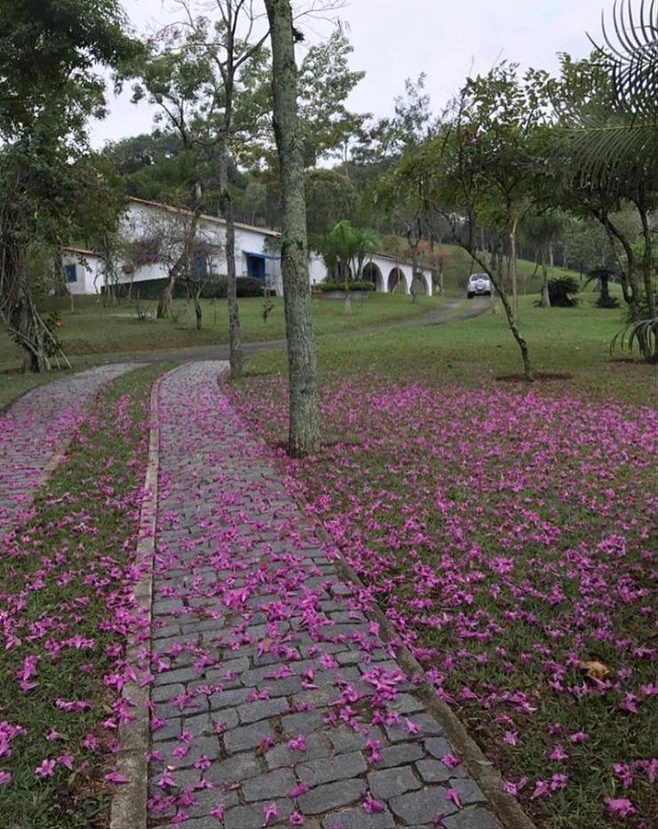 Fazenda do artista em Guarativa (Foto: Reprodução/Instagram) José Mayer