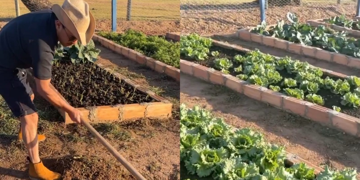 Zezé Di Camargo colocou a mão na enxada (Foto: Reprodução)