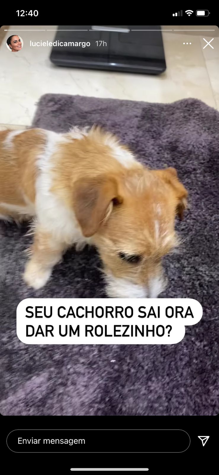 Luciele Di Camargo expõe revolta com cachorro (Reprodução) 