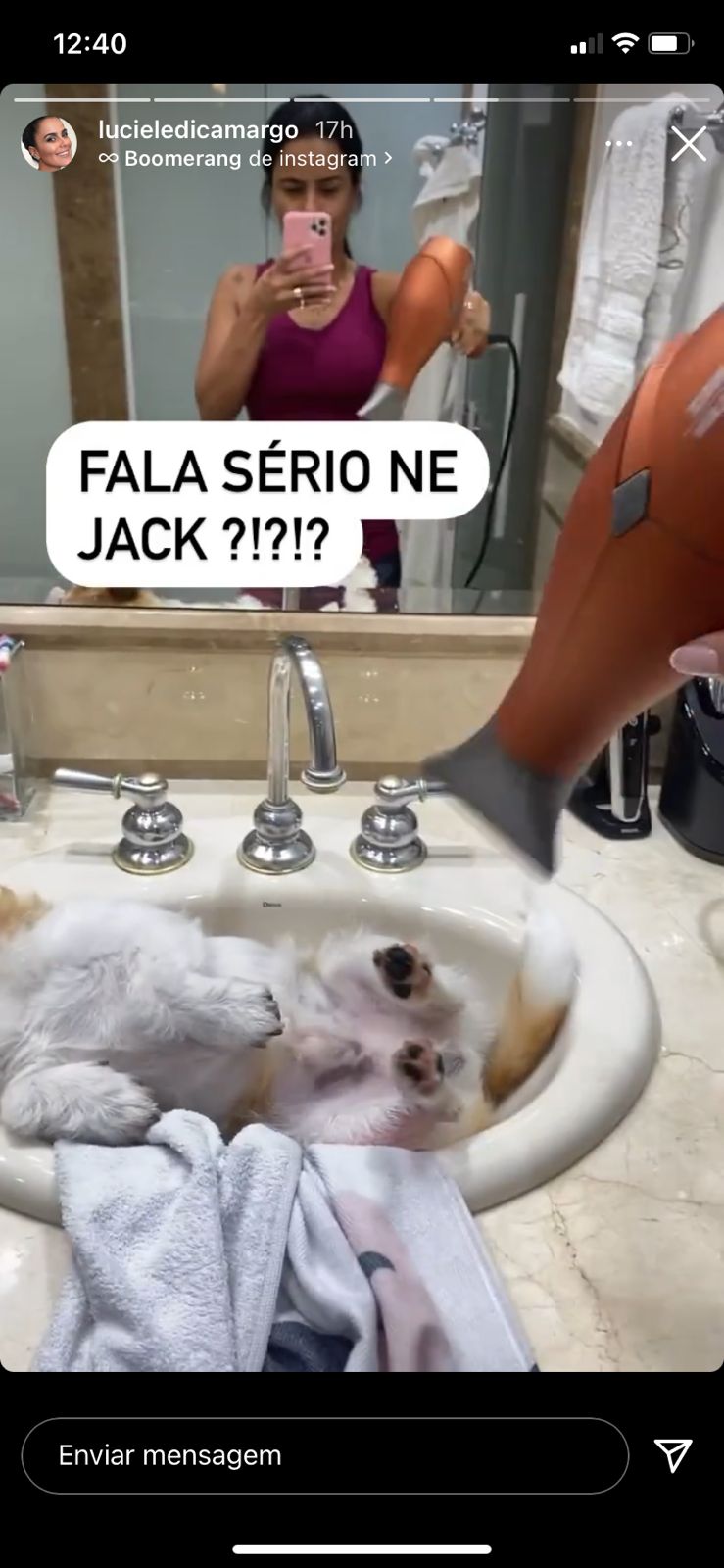 Luciele Di Camargo expõe revolta com cachorro (Reprodução) 