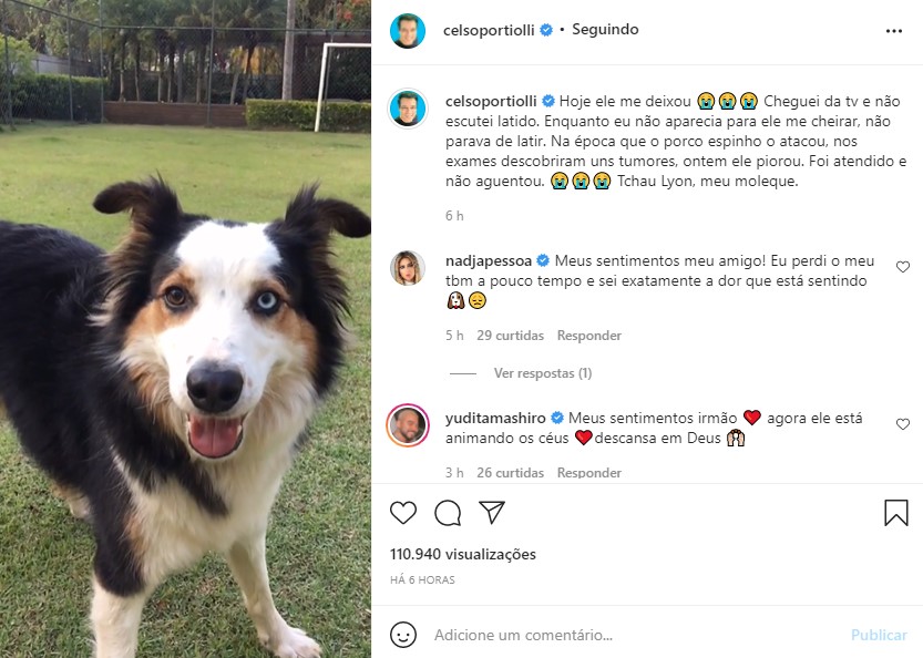 Celso Portiolli perdeu o cachorrinho de estimação (Foto: Reprodução)