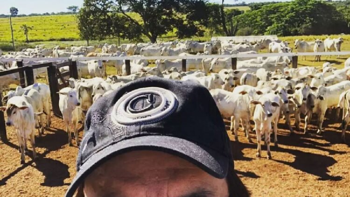 Animais da Fazenda de Chitãozinho (Foto: Divulgação)