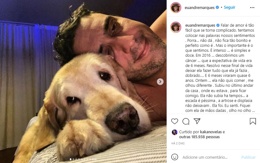 André Marques falou sobre a morte de sua cachorrinha (Foto: Reprodução)