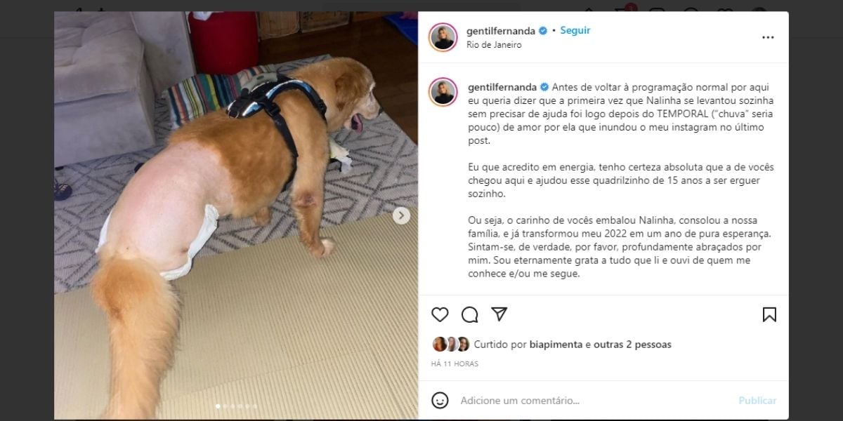 "Pesadelo", Fernanda Gentil expõe doença de parceira, dificuldades para andar e confirma: "Não consigo entender"