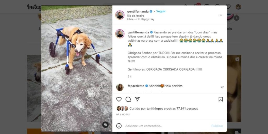 Fernanda Gentil chora ao ver parceira em cadeira de rodas e desabafa em textão: "A minha dor"