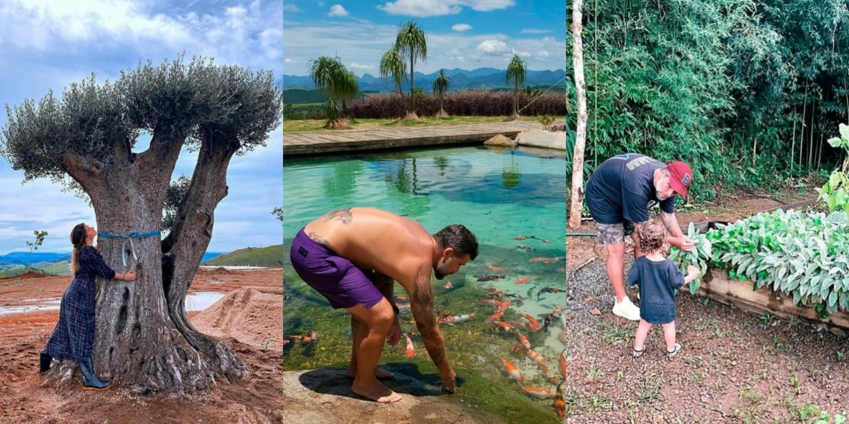 Bruno Gagliasso se comprometeu com a fauna e flora - Foto: Reprodução