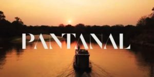 Imagem do post Muda de Pantanal desiste de “novela” e menospreza vida artística: “Longe da minha visão de mundo”