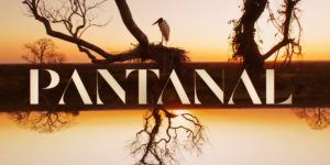 Imagem do post Atores protagonistas de Pantanal não se falam nos bastidores da novela e rixa é exposta: “Praias diferentes”