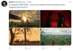 Público elogiou fotografia de "Pantanal" (Foto: Reprodução / Twitter)