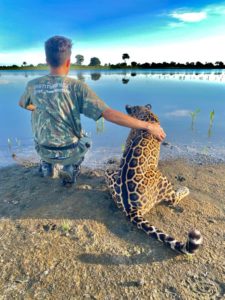 Onça-pintada usada na novela 'Pantanal' (Foto: Reprodução / Globo)