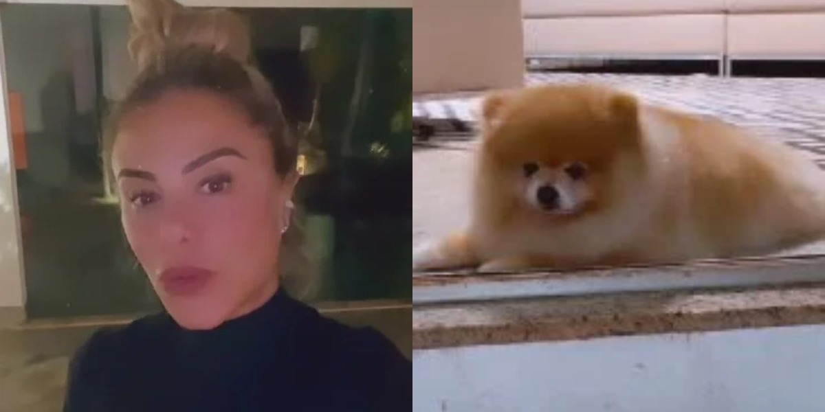 Poliana Rocha levou susto com o cachorrinho Romeo (Foto: Reprodução/Instagram)