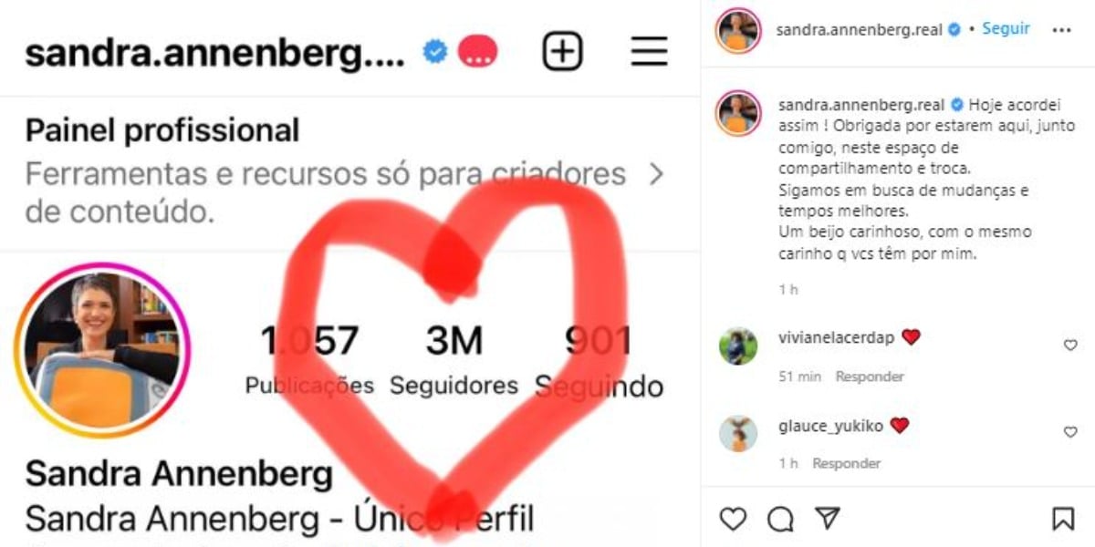 Sandra Annenberg comemorou 3 milhões de seguidores (Foto: Reprodução/Instagram)