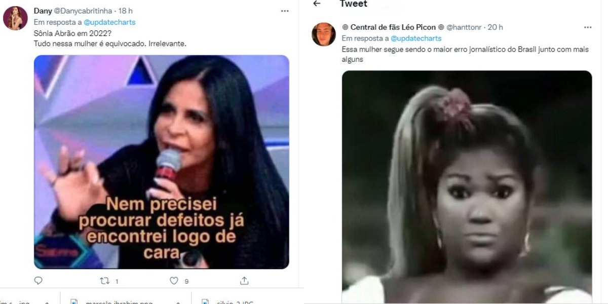 Internautas se revoltam contra ataques de Sonia Abrão (Foto: Reprodução/Twitter)