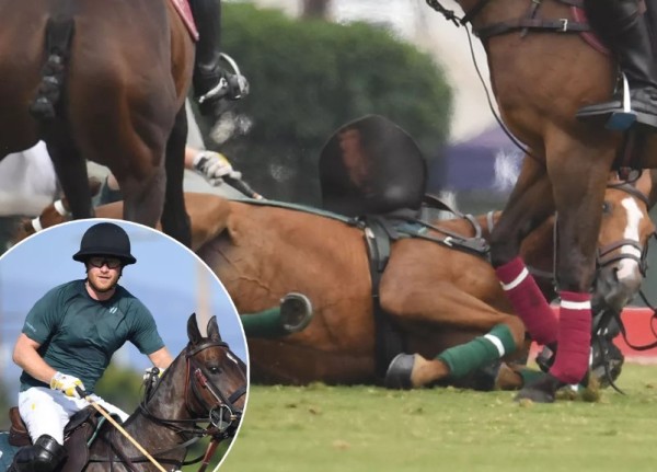 Príncipe Harry caiu de cavalo (Foto: Reprodução)