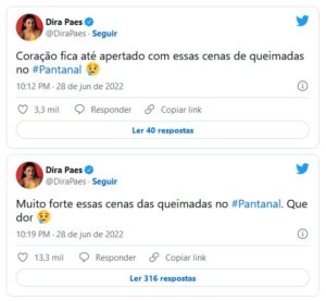 Dira Paes, intérprete de Filó em Pantanal, usou redes sociais para repercutir incêndios no bioma (Foto: Reprodução / Twitter)