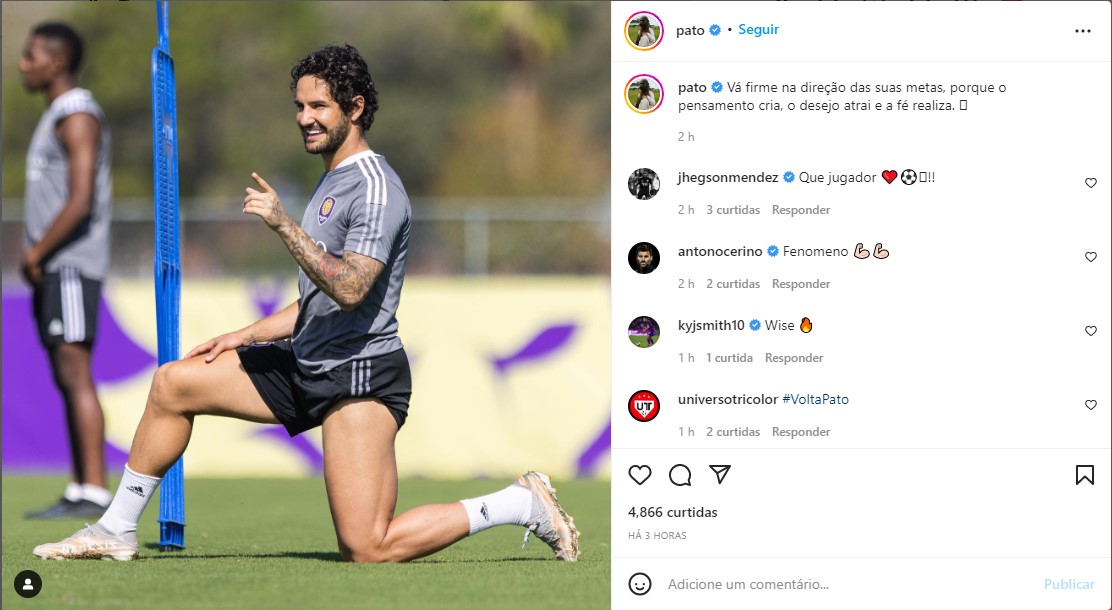 Compartilhamento de Pato no Instagram - Foto: Reprodução