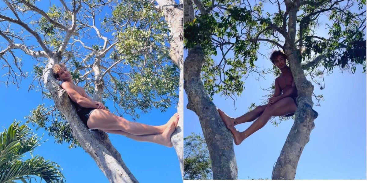 André Luiz Frambach se pendurando em árvore (Foto: Instagram)