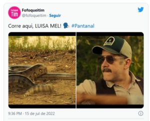 Internautas resolveram chamar até Luisa Mell para dar um jeito em Tenório (Murilo Benício) (Foto: Reprodução / Twitter)