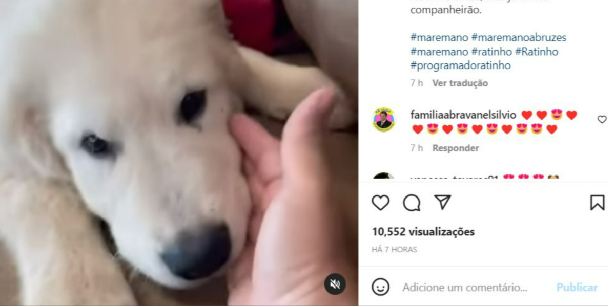 Ratinho compartilhou imagem de seu novo cachorrinho (Foto: Reprodução/Instagram)