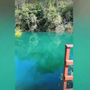 Piscina gigante da mansão de Virgina com Zé Felipe é impressionante e faz os dois recarregarem as energias (Reprodução - Instagram)