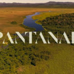 Ator de Pantanal assumiu namorado (Foto: Reprodução)