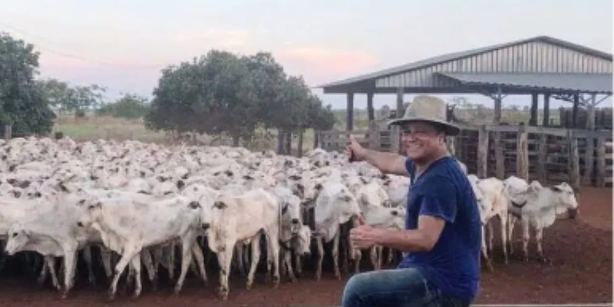 Local onde os gados são recolhidos para descanso (Foto: Reprodução)