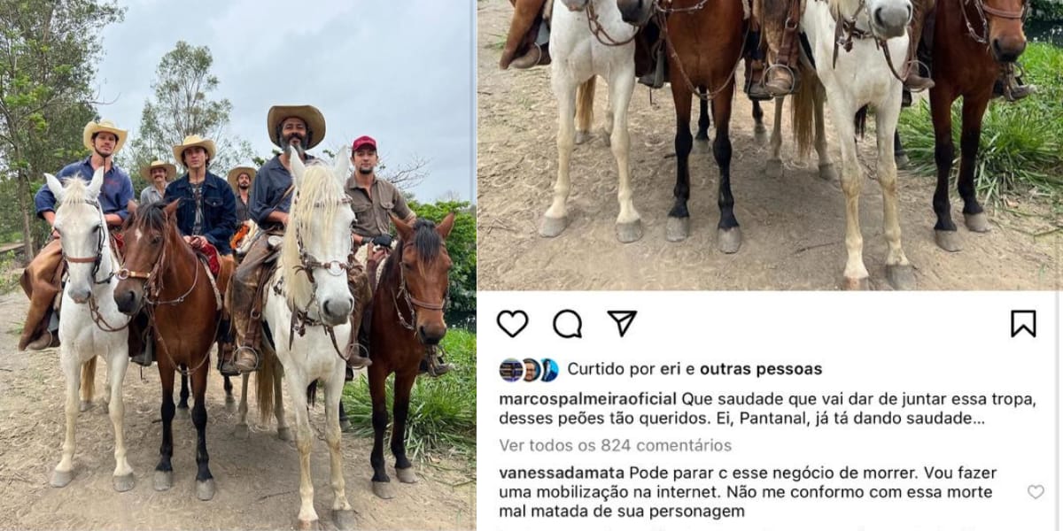 Vanessa da Mata deixa sua opinião sobre 'Pantanal' na publicação de Marcos Palmeira (Reprodução: Instagram)