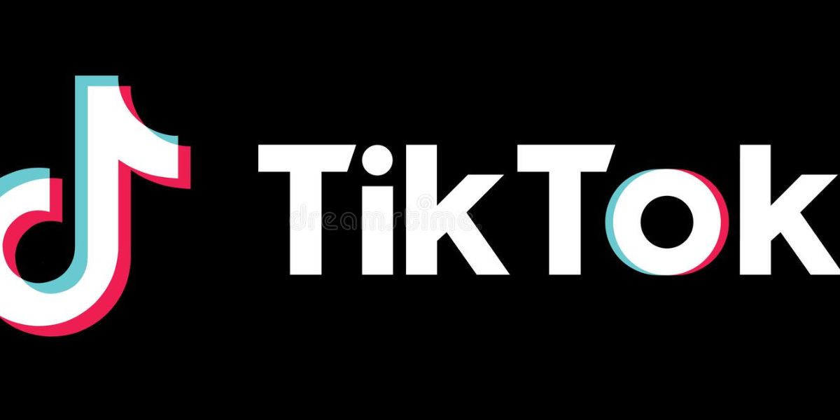 TikTok assina contrato como patrocinador do BBB23, da Globo, deixando A Fazenda, da Record, para trás - Foto Reprodução