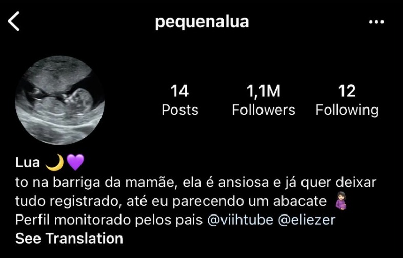 Viih Tube criou perfil para filha que nem nasceu (Foto: Reprodução)