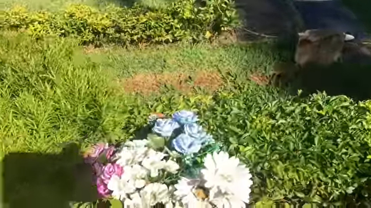 Vídeo de túmulo de Cristiano Araújo e Allana é exposto e emociona