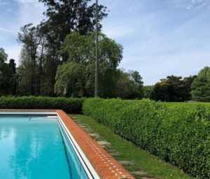 Piscina do hotel (Foto: Reprodução / Instagram)