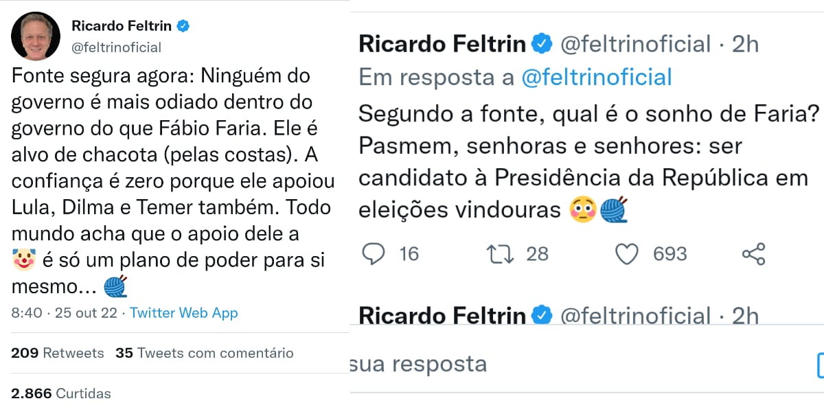 Ricardo Feltrin expõe plano de Fábio Faria (Reprodução: Twitter)