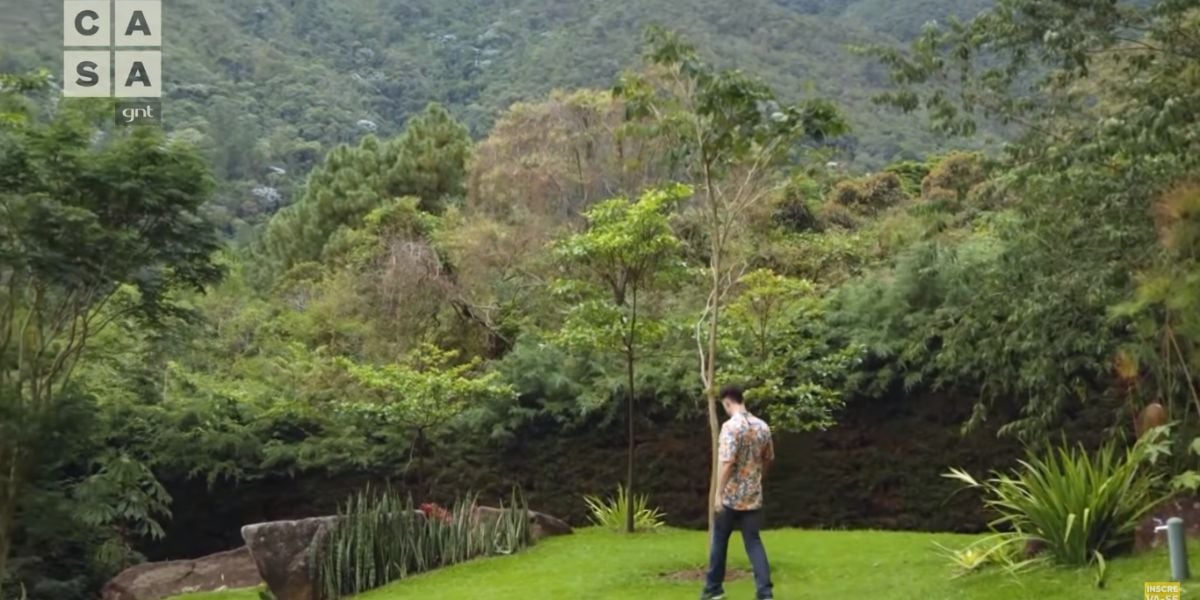 Ipê branco em homenagem ao pai de Carmo Dalla Vecchia (Reprodução)