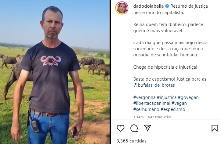 Dado Dolabella compartilha decisão da Justiça e se revolta em desabafo (Reprodução/ Instagram)