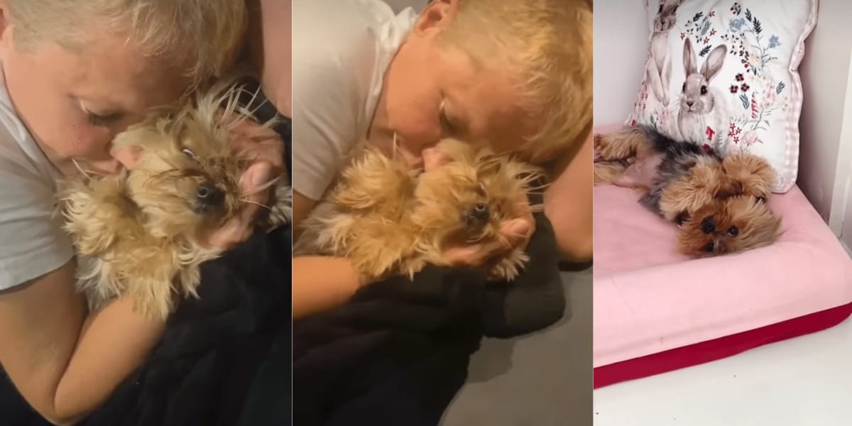 Xuxa revela que sua cachorrinha está com câncer e deixa Brasil triste com a notícia (Reprodução: Instagram)