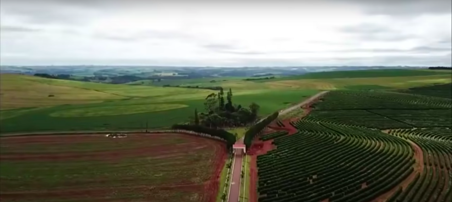 Vista das terras de Ratinho (Foto Reprodução/Youtube)