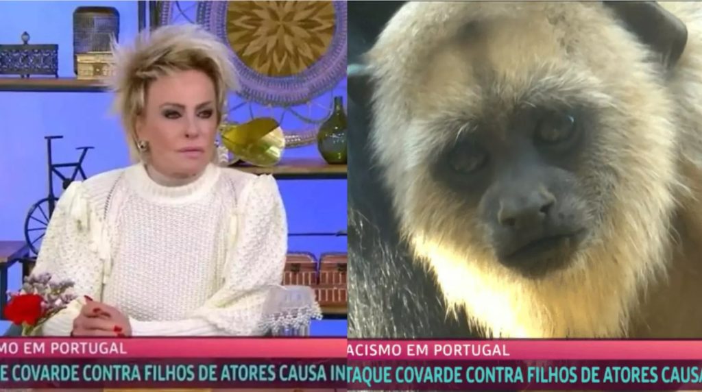 Globo demitiu funcionário do Mais Você que exibiu imagens de um macaco enquanto Ana Maria falava sobre um caso de racismo- Foto: Reprodução