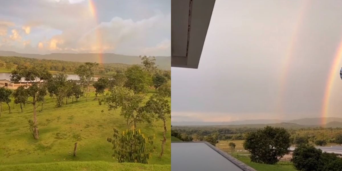 Fazenda do cantor Henrique tem floresta