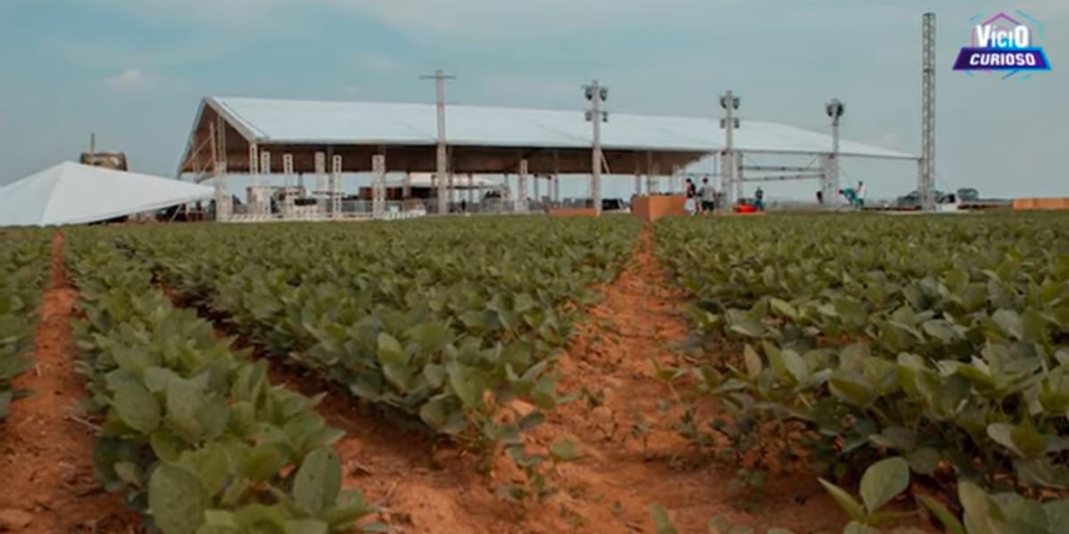 São 39 mil hectares de área produtiva em que o cantor pode cultivar a soja (Reprodução: Youtube)