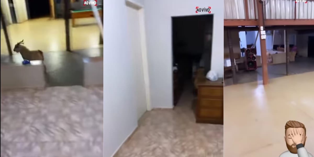 Zé Neto correndo atrás do animal que invadiu a casa (Reprodução: Youtube)