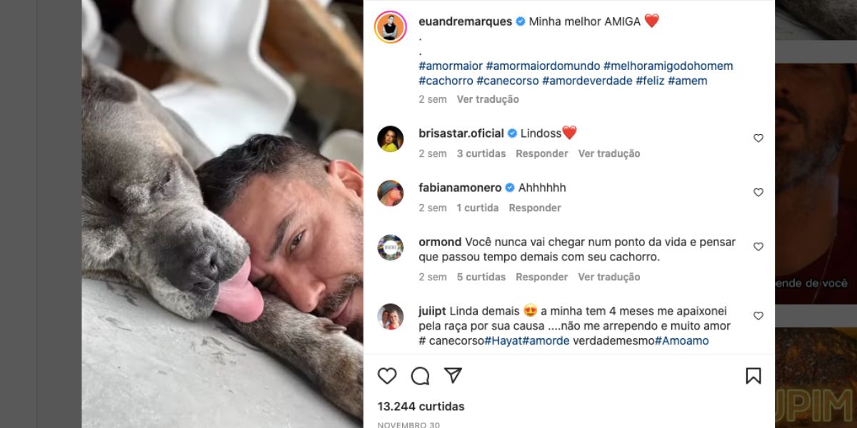 André Marques fala sobre amor por cachorros (Reprodução)