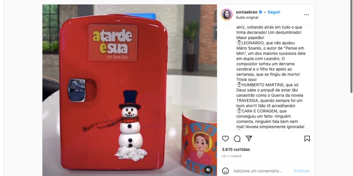 Sonia Abrão condena atitude de Leonardo (Reprodução)