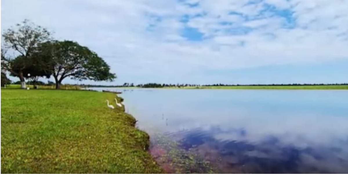 A fazenda de Marrone possui um lago enorme particular onde faz pescas esportivas (Reprodução: Youtube)