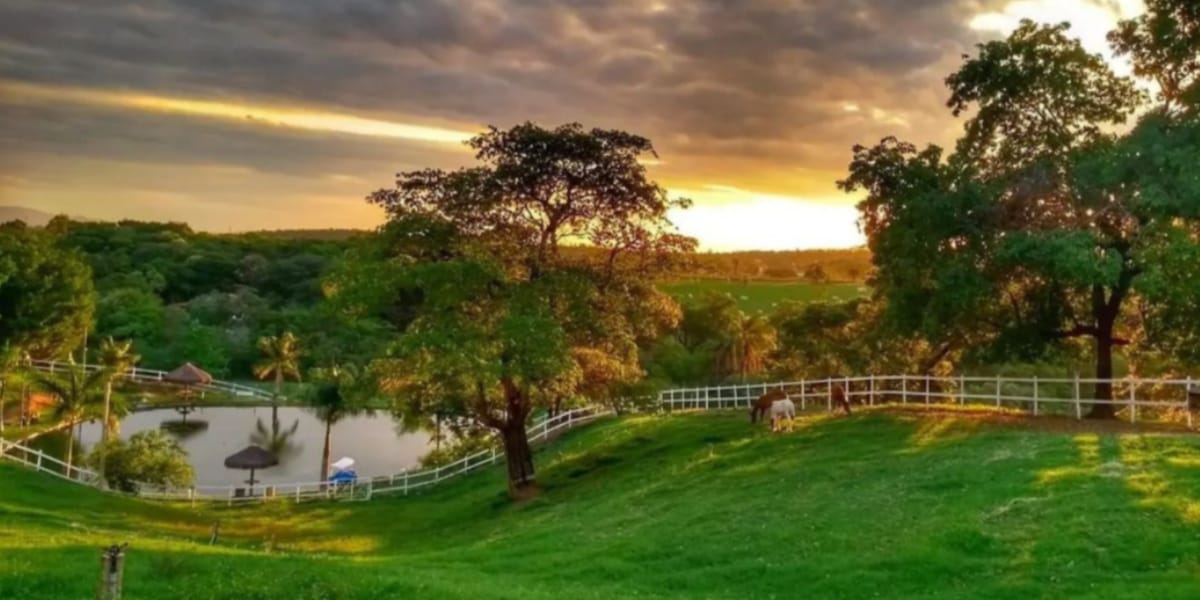 A fazenda possui uma enorme área verde com uma lagoa particular (Reprodução: Youtube)