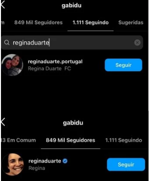 Regina Duarte e Gabriela Duarte não se seguem mais no instagram - Foto Reprodução