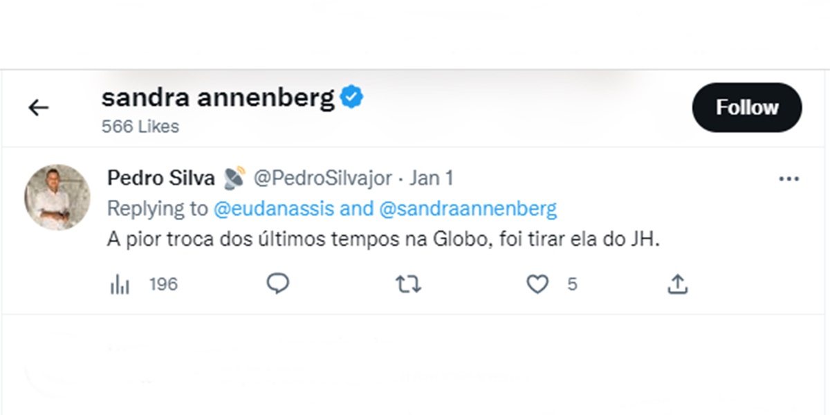 Sandra Annenberg curtiu um tweet criticando a decisão da Globo, após ser tirada do Jornal Hoje (Foto: Reprodução)