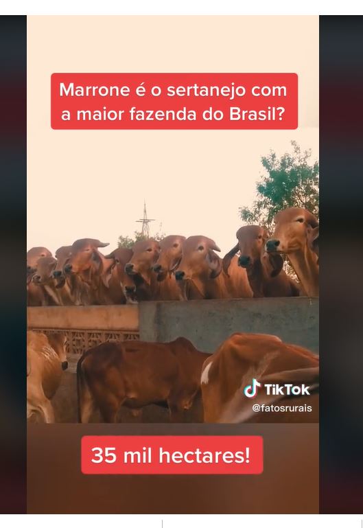 Fazenda de Marrone, de 35 mil hectares e 20 mil cabeça de gado - Foto Reprodução Canal Fatos Rurais